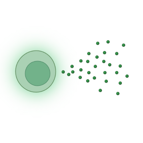 Neurotransmitter Metabolites
