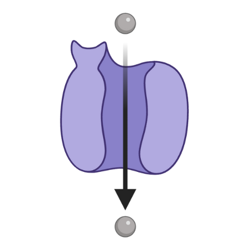 Catecholamine Markers