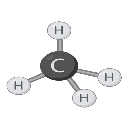 Methylation Markers