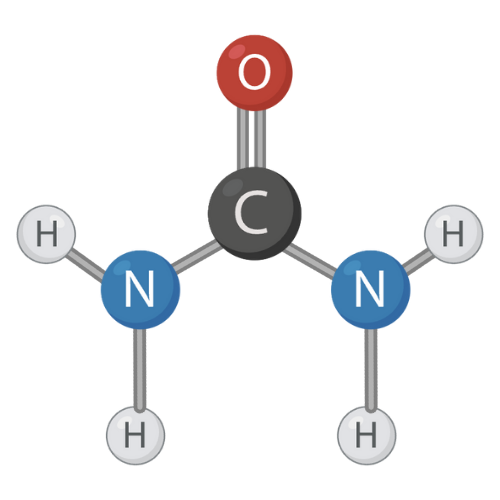 Urea Cycle Markers