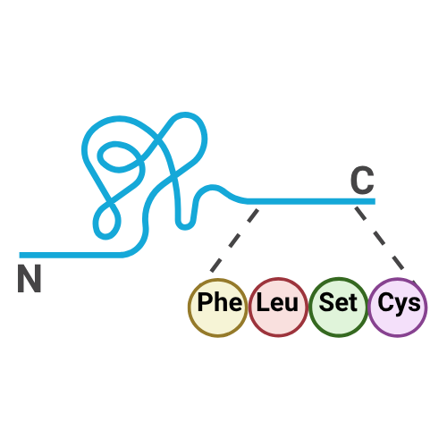 Essential Amino Acids